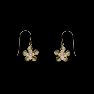 Desert Flower Earrings - Wire