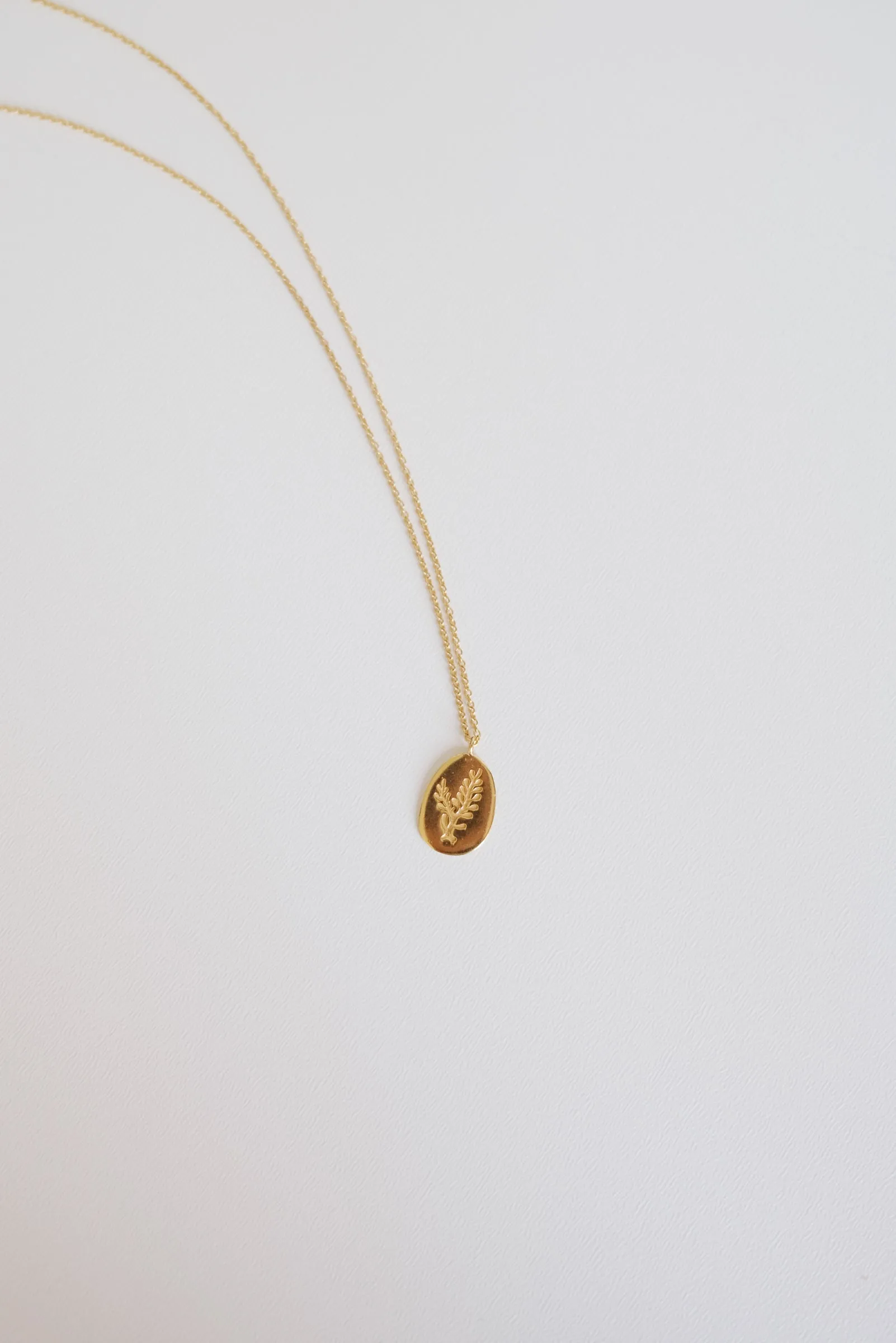 necklace - ferox - gold