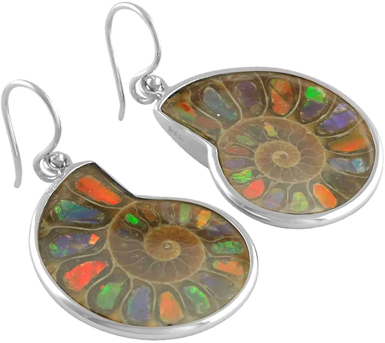 Starborn Ammolite inlaid Ammonite Earrings