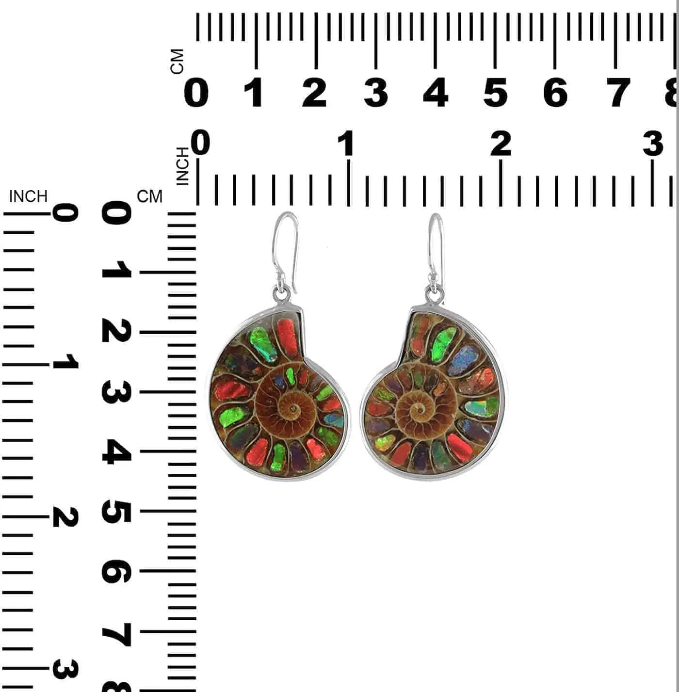 Starborn Ammolite inlaid Ammonite Earrings