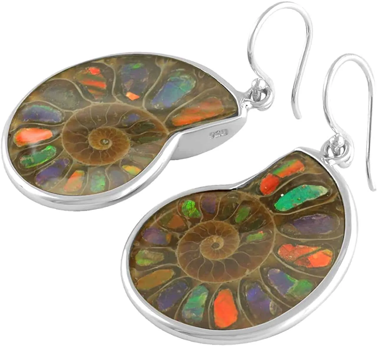 Starborn Ammolite inlaid Ammonite Earrings