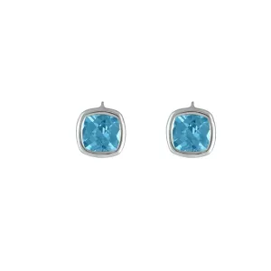 Sterling Silver Blue Topaz Fashion Earrings